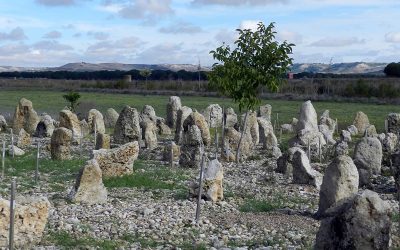 Pintia, Necrópolis de las Ruedas y Curiel