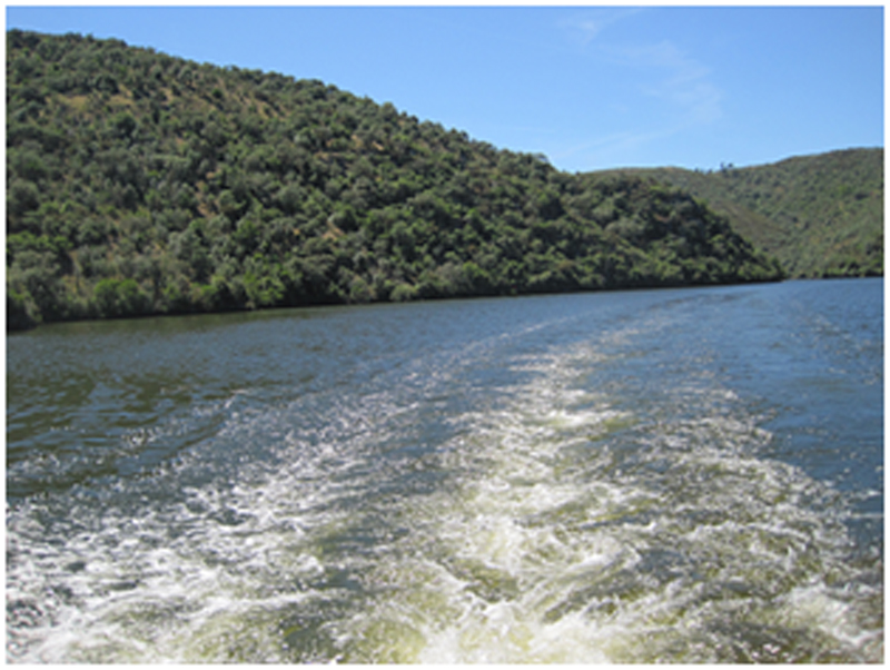 Ruta por el Tajo desde Extremadura... Amigos de la Arqueologia